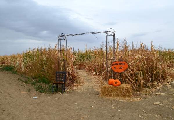 From Harvest to Halloween: Fort Collins in October