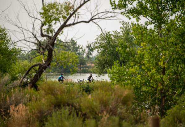 Clyclists Trees