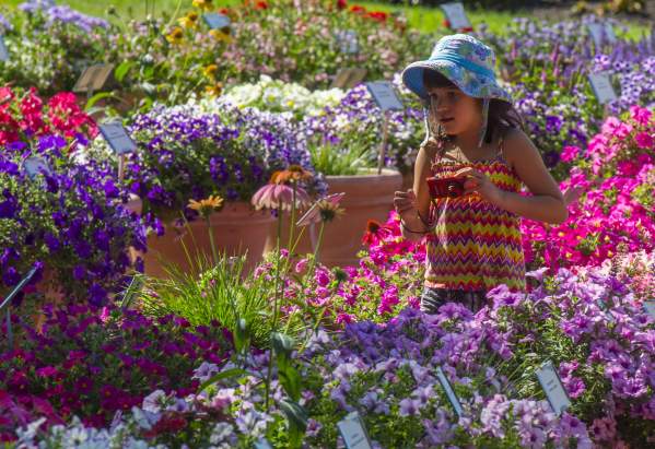 10 Things to Experience During Spring in Fort Collins
