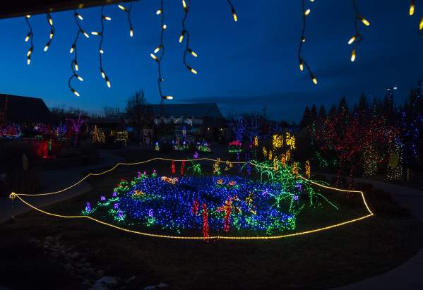 Garden Lights