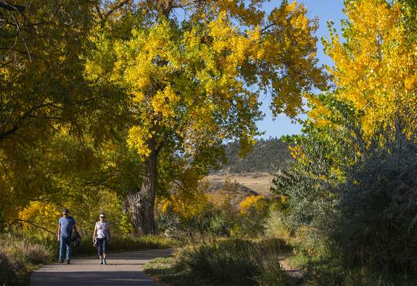 8 Reasons to Visit Fort Collins This Fall
