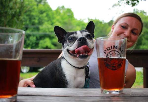 Spring Craft Beers in LKN
