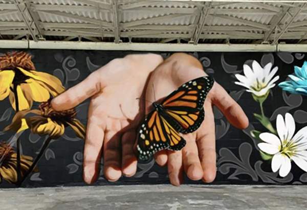 Hand at Nature
