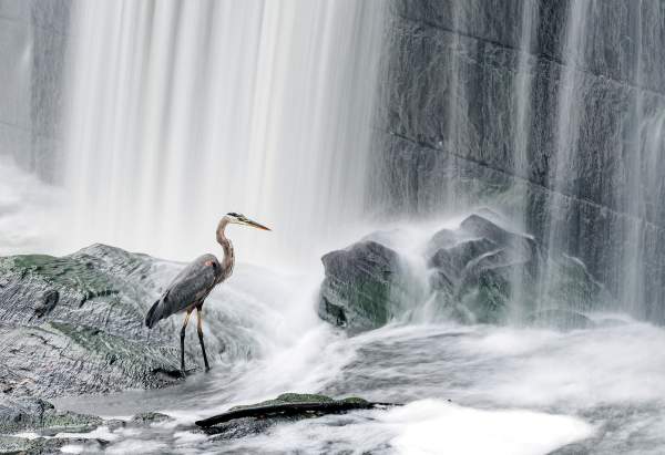 Herin Falls Lincoln Photo AJ Collette