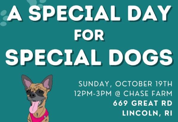 A Special Day for Special Dogs