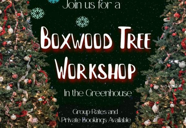Boxwood Tree Workshop