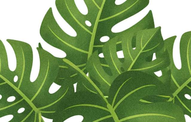 Plant Bingo @ Plant Bingo | Amarillo | Texas | United States