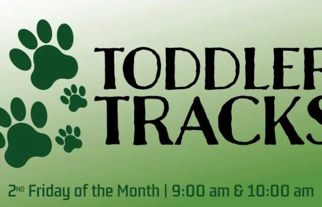 Toddler Tracks @ Toddler Tracks | Amarillo | Texas | United States