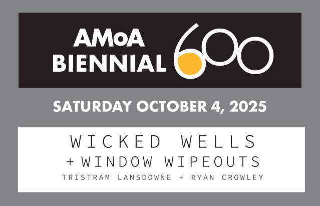 Wicked Well & Window Wipeouts @ Wicked Well & Window Wipeouts | Amarillo | Texas | United States