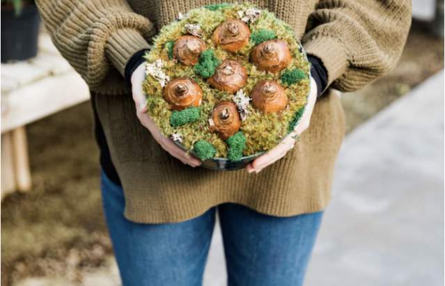 Paperwhite Workshop @ Paperwhite Workshop | Amarillo | Texas | United States