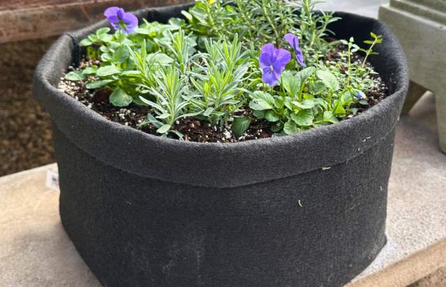 Herb Garden Workshop @ Herb Garden Workshop | Amarillo | Texas | United States