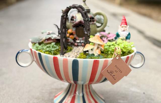 Fairy Garden Workshop @ Fairy Garden Workshop | Amarillo | Texas | United States