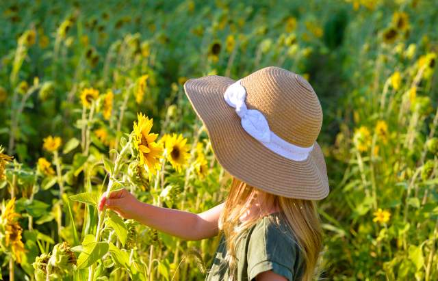 8 Best Fall Photo Spots in Fort Wayne