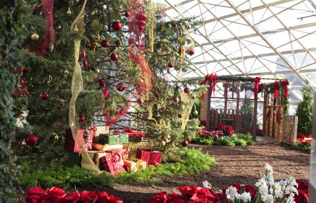 Best Events in Fort Wayne, Indiana this December