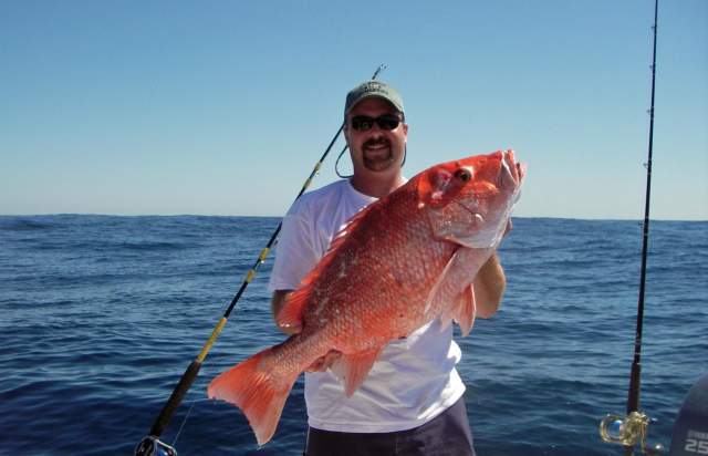 Red Snapper in Brazosport