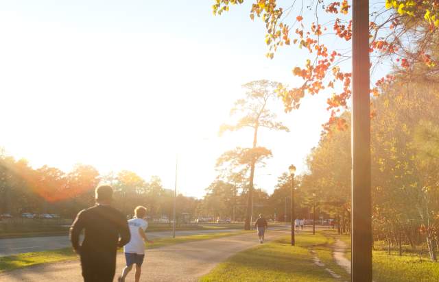 Day Trips: Memorial Park