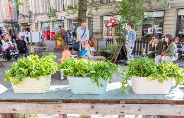 Families at Manchester Flower Festival
