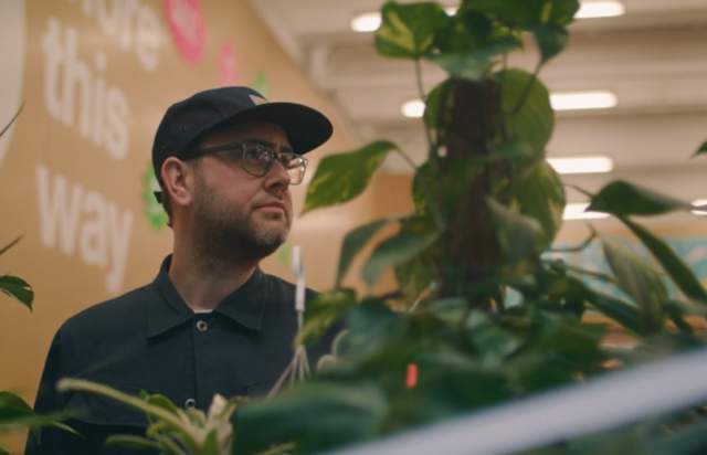 John Owens, Joint Artistic Director stood amongst plants in an office