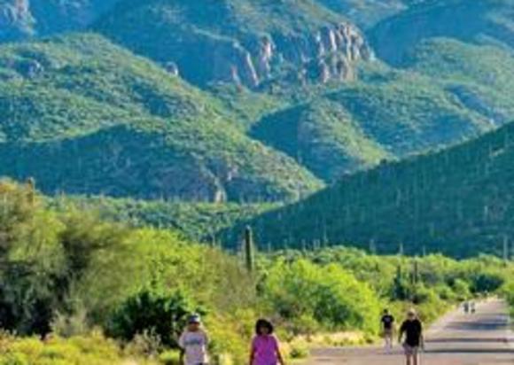 Sabino Canyon Recreation Area Address