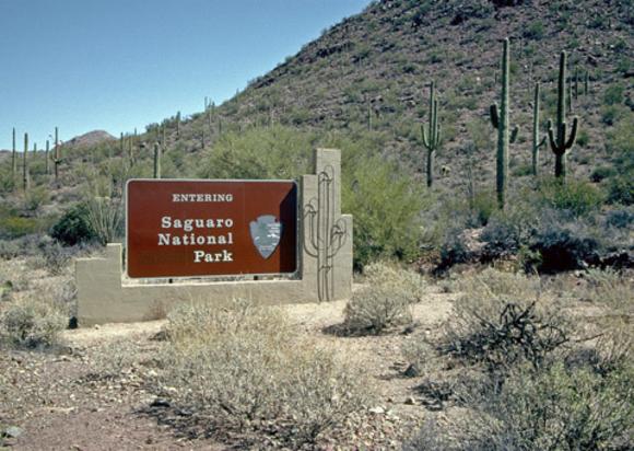 Saguaro National Park Visitor Center