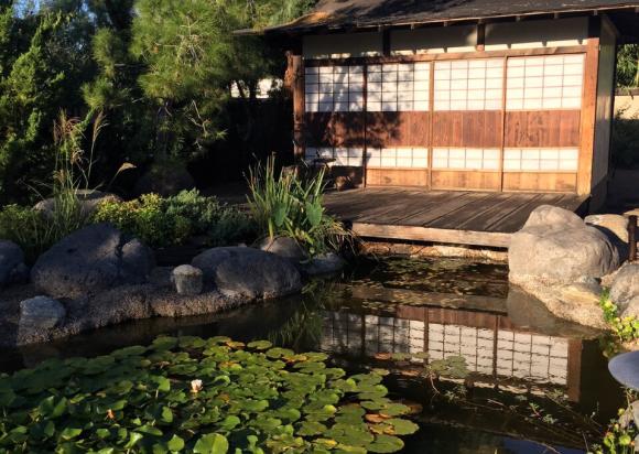 Japanese Art to Color In — Yume Japanese Gardens of Tucson