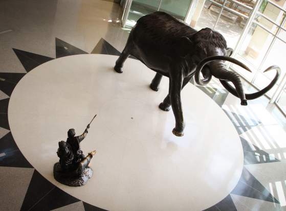 Mammoth Paige Powell