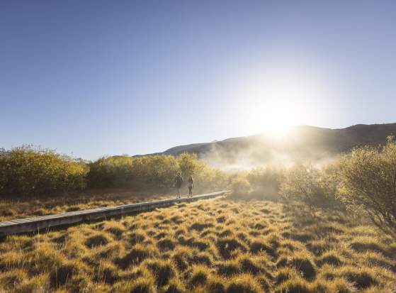 Day Trips From Queenstown