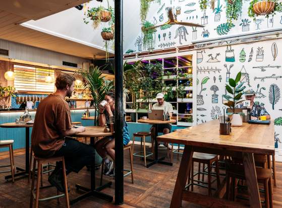 How to be a Digital Nomad in Queenstown