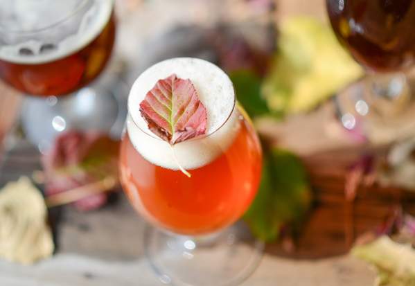 SIP Into Fall With These Seasonal LKN Craft Beers
