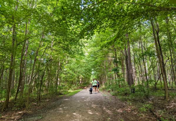A Guide to Hiking & Biking in Lake Norman