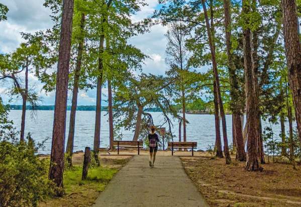 Have You Tried Nature Therapy? Take it All In, Let it All Go