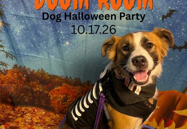 Doom Room Dog Halloween Party