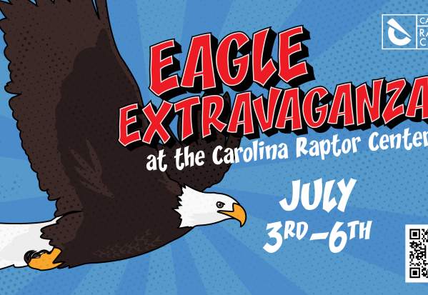 Eagle Extravaganza at the Carolina Raptor Center