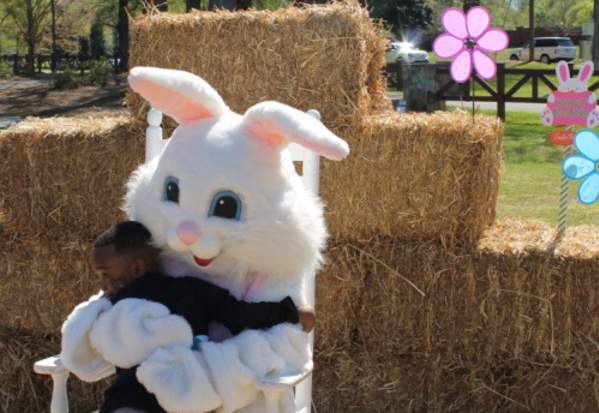 Hop Into Spring