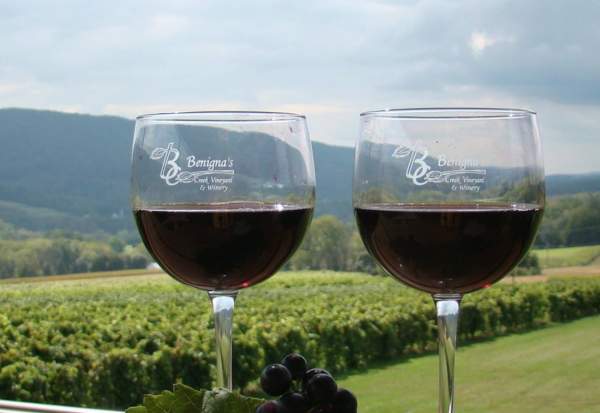 Benigna’s Creek, Vineyard, & Winery