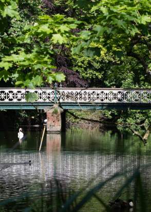 Botanic Gardens bridge