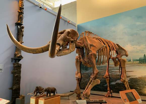 museum of the earth exhibit