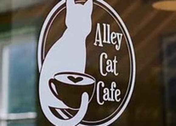 Alley Cat Cafe