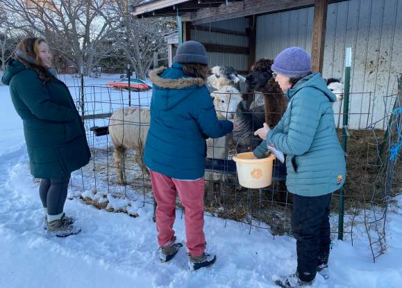 Farm Tour- Laughing Goat Fiber Farm