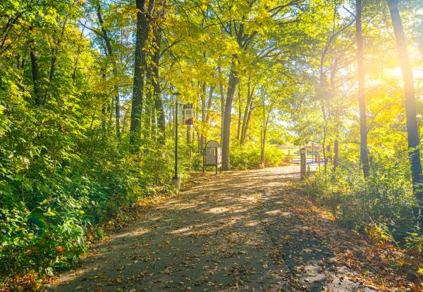 Drew Pertl - Red Oak Nature Center