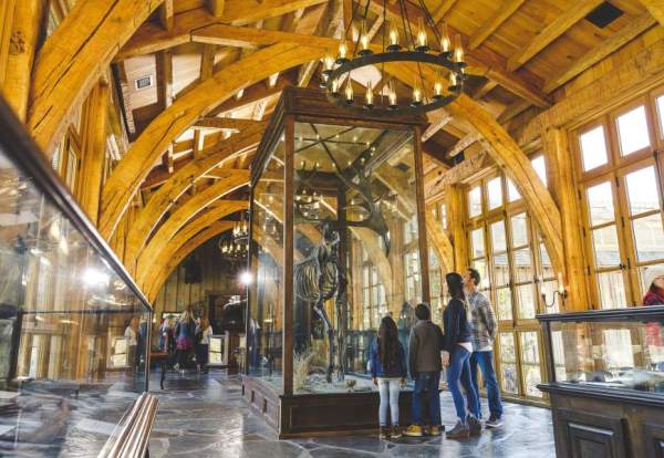 Museum Family Children