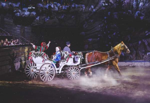 Dolly Parton Stampede