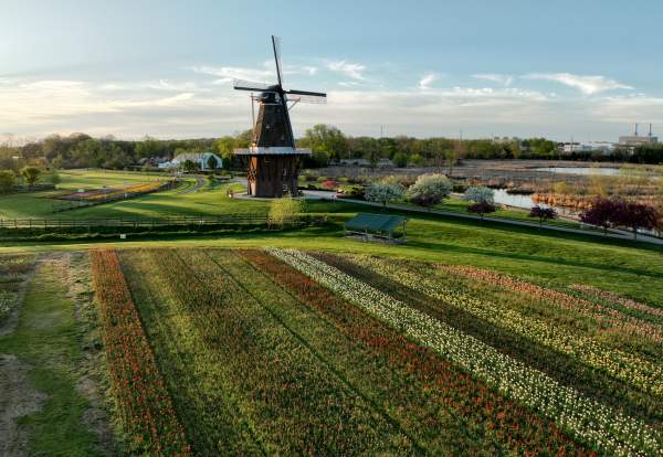 Windmill Island Tulip Time