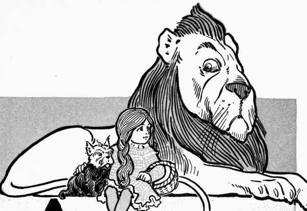 Lion Drawing