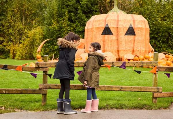 Two children dressed for winter outside a pumpkin display at Chester Zoo