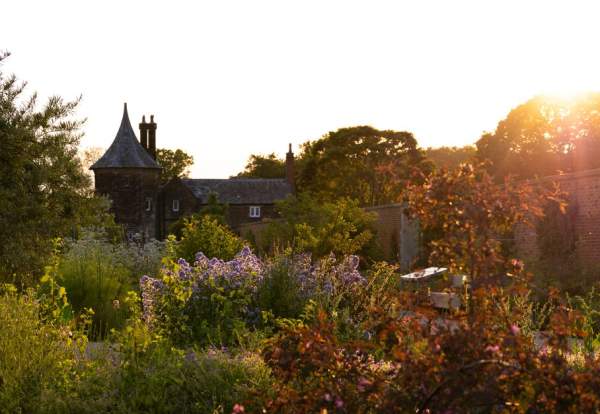 Evening sunshine at Bridgewater Gardens