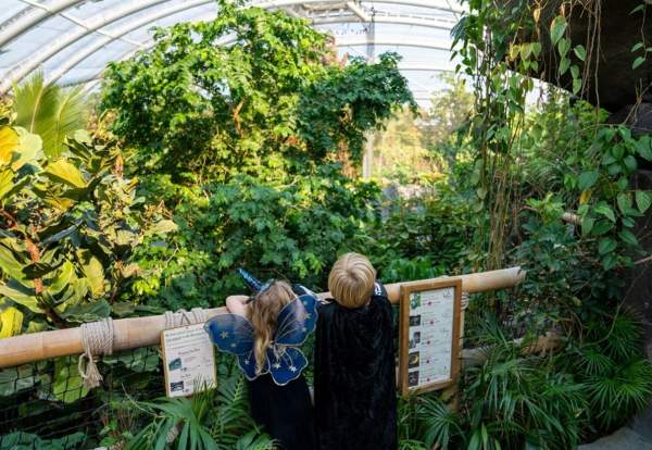 Children in fancy dress overlooking Chester Zoo