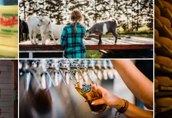 Barns, Brews & Bites