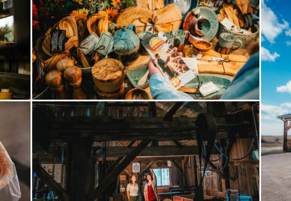 Cheese 101: Museum, Makers & More