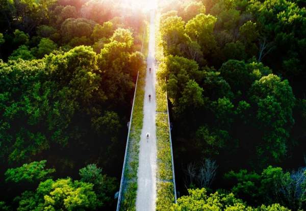 bicycles on a bridge